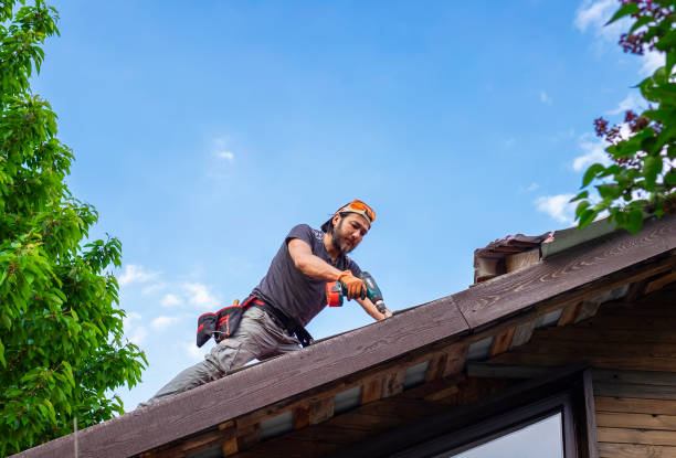 Best Sheet Metal Roofing  in Lochsloy, WA